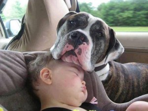 Sleeping on the go!